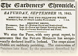 Реферат: Potato Famine Essay Research Paper In 1845